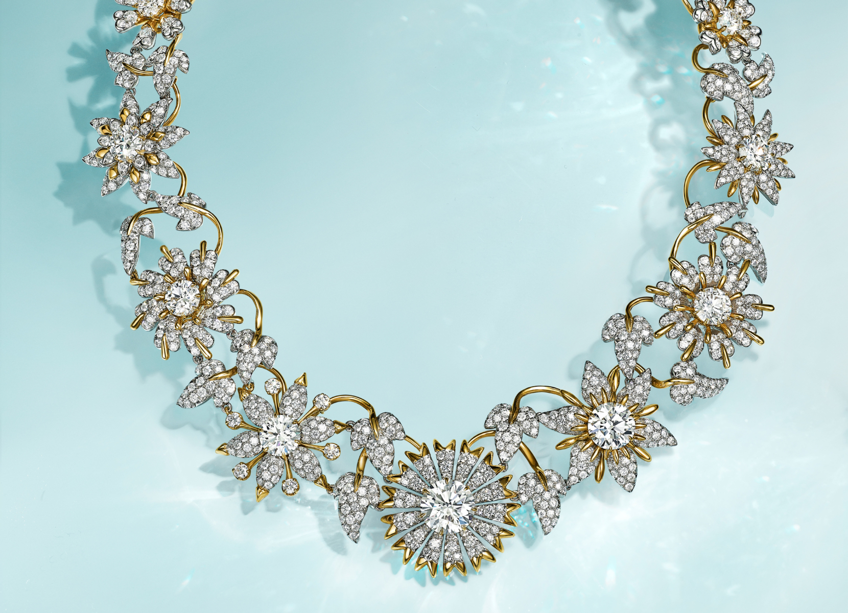 Tiffany & Co. Unveils New High Jewelry Campaign Showcasing Schlumberger ...