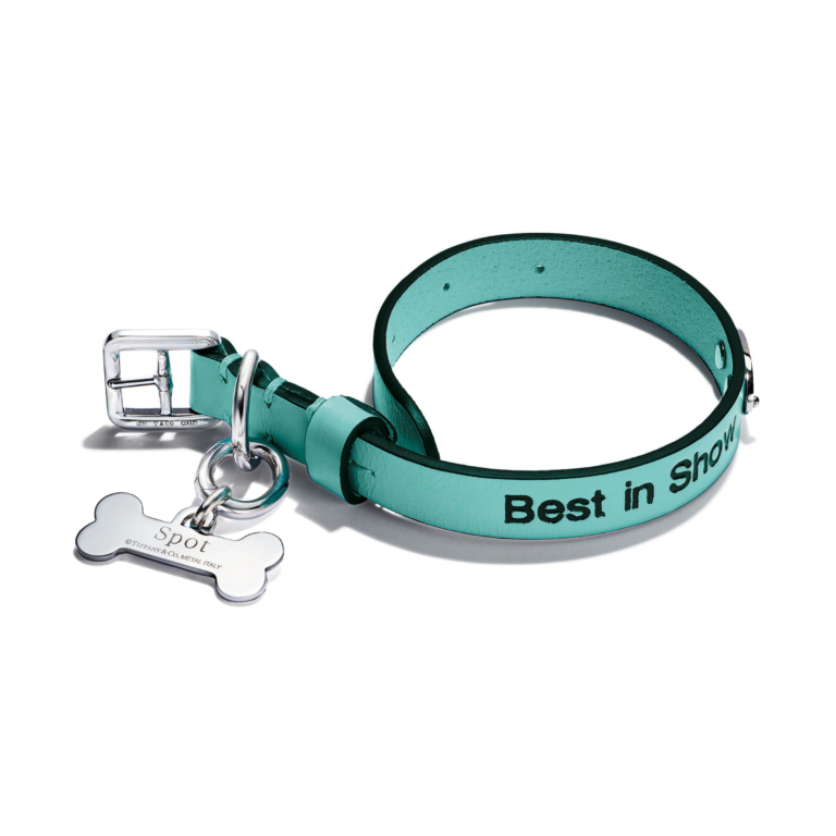 Pet collar in Tiffany Blue® leather, extra large.